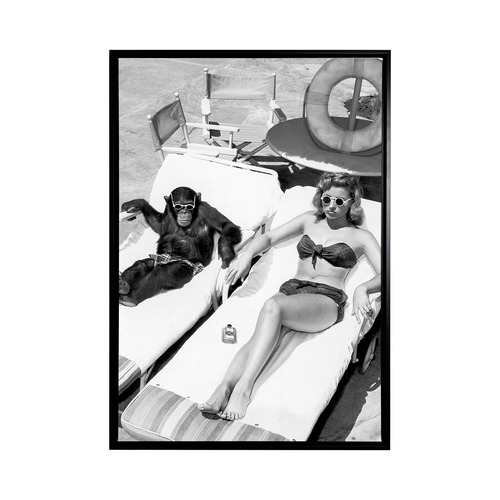 Friends in High Places Framed Canvas Wall Art