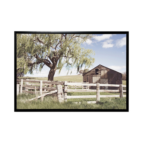 Backcountry Framed Canvas Wall Art