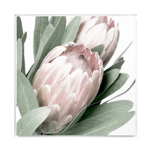 Protea II Framed Canvas Wall Art
