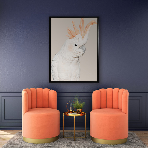 Cockatoo Tango Framed Canvas Wall Art Temple & Webster