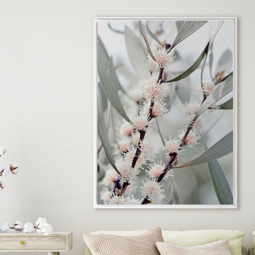 Hakea Flowers Framed Canvas Wall Art