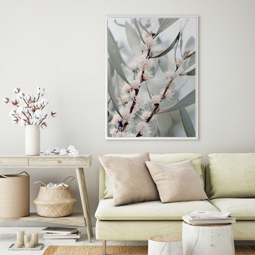 Hakea Flowers Framed Canvas Wall Art