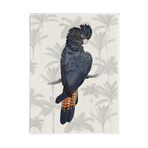 Tropical Cockatoo Framed Canvas Wall Art