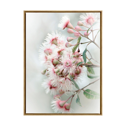 Gum Tree Blossoms Framed Canvas Wall Art