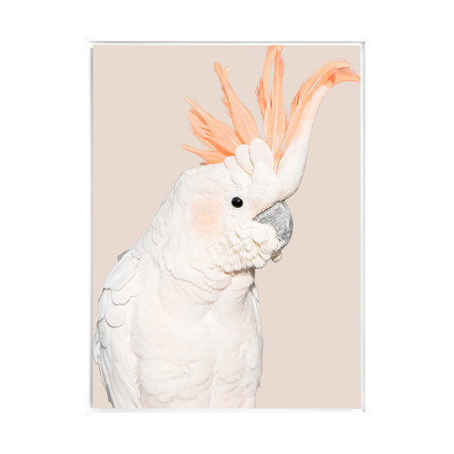 Cockatoo Tango Framed Canvas Wall Art