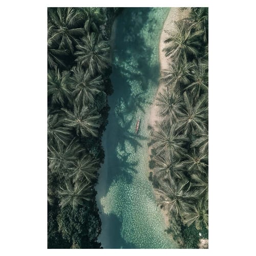 Lost in The Tropics Canvas Wall Art