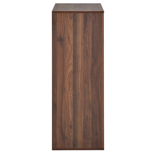 Walnut Brown Etienne Shoe Cabinet
