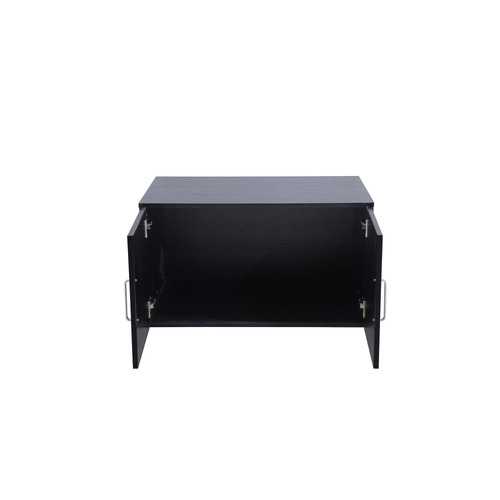 Gabhan 2 Door Storage Cabinet