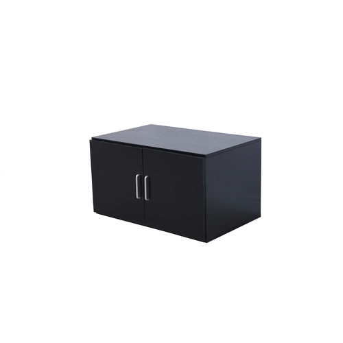 Gabhan 2 Door Storage Cabinet