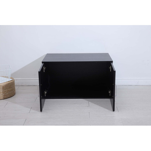 Gabhan 2 Door Storage Cabinet