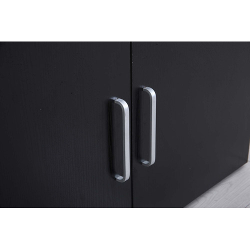 Gabhan 2 Door Storage Cabinet