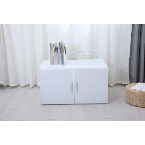 Gabhan 2 Door Storage Cabinet