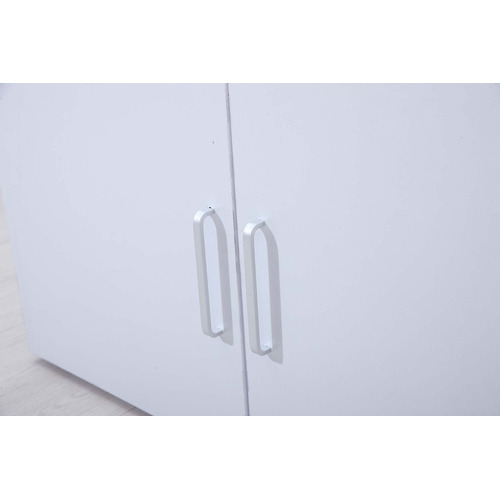 Gabhan 2 Door Storage Cabinet