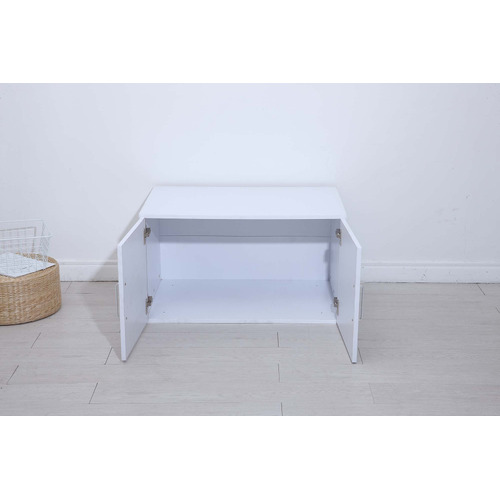 Gabhan 2 Door Storage Cabinet