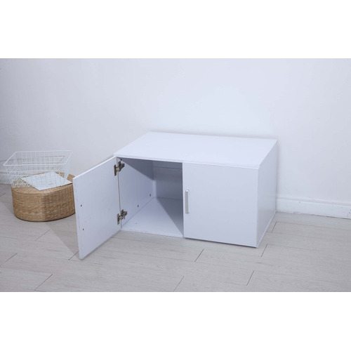 Gabhan 2 Door Storage Cabinet