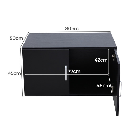 Gabhan 2 Door Storage Cabinet