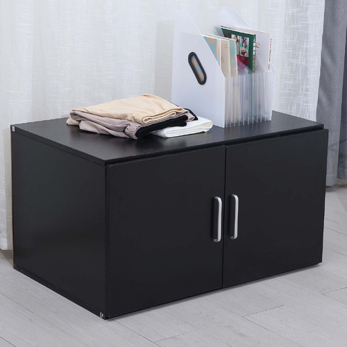 Gabhan 2 Door Storage Cabinet