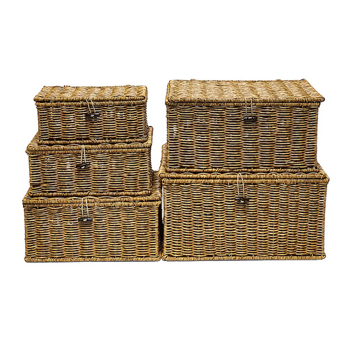 5 Piece Azalea Lanai Storage Basket Set