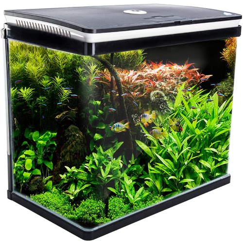 Letitia Lane Curved Glass 52L RGB LED Fish Tank | Temple & Webster