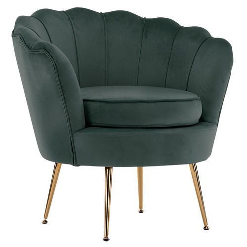 Shanaya 2 Piece Velvet Armchair & Ottoman Set