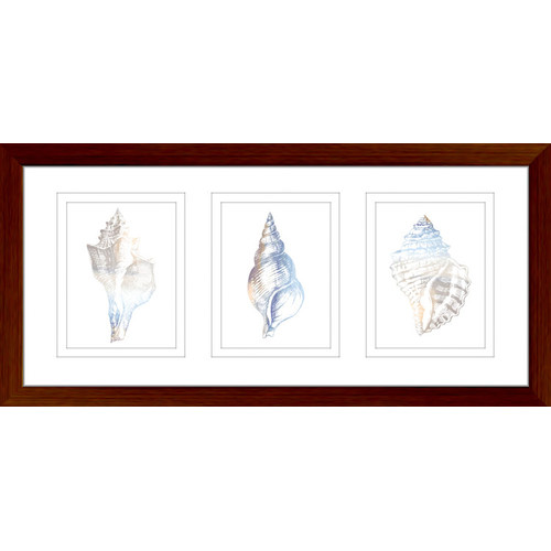 Natural-Shells-Series-Watercolour-Silhouette-Framed-Trio-Print-WS02PT