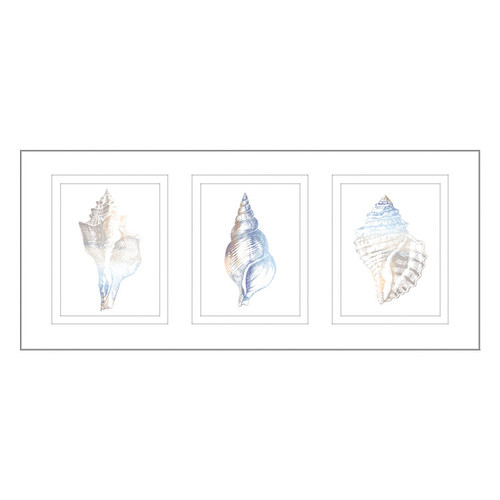 Natural-Shells-Series-Watercolour-Silhouette-Framed-Trio-Print-WS02PT