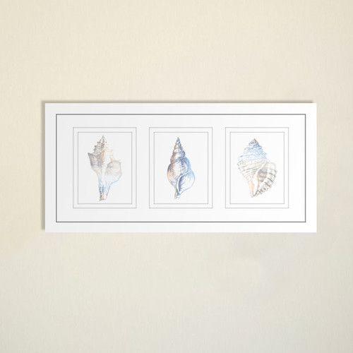 Natural-Shells-Series-Watercolour-Silhouette-Framed-Trio-Print-WS02PT