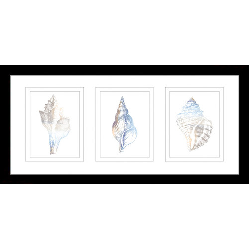 Natural-Shells-Series-Watercolour-Silhouette-Framed-Trio-Print-WS02PT
