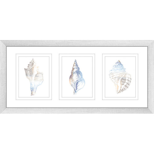Natural-Shells-Series-Watercolour-Silhouette-Framed-Trio-Print-WS02PT