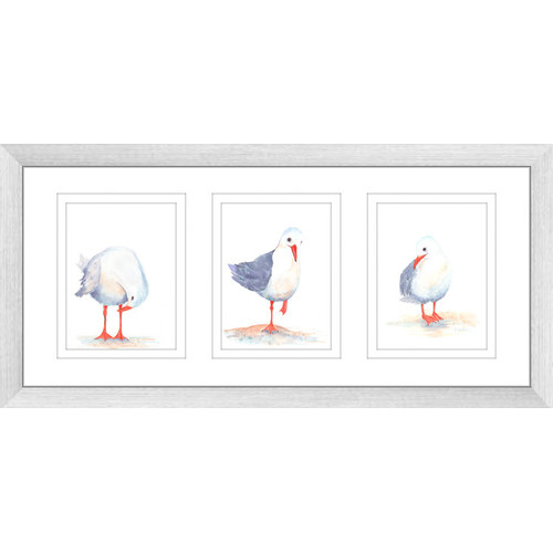 Seagull-Watercolour-Series-Framed-Trio-Print-SGPT