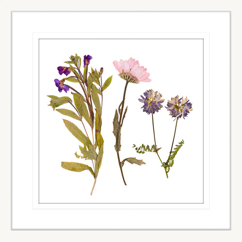 Spring Wildflowers I Framed Print