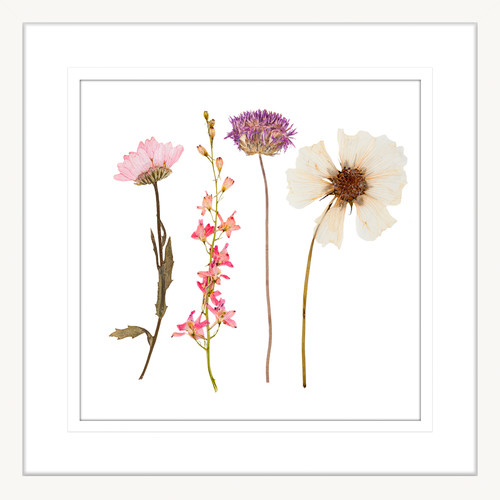 Spring WIldflowers II Framed Print