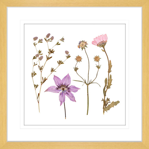 Spring WIldflowers IV Framed Print