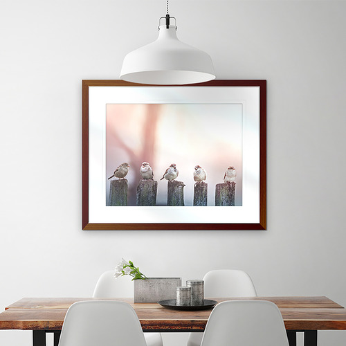 Swallows Song III Framed Print