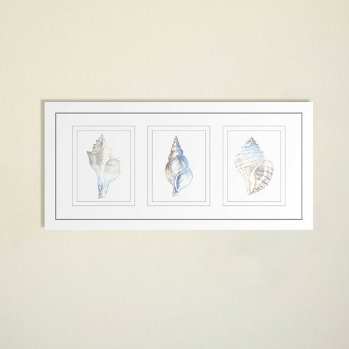 LasPalmaHome Natural Shells Series Watercolour Silhouette Framed Trio ...