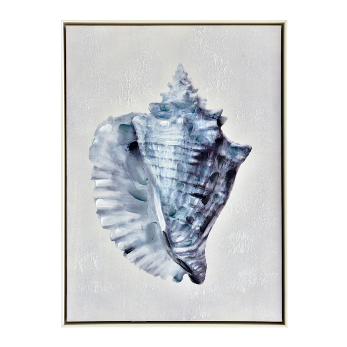 Horned Shell Painted Framed Canvas Wall Art