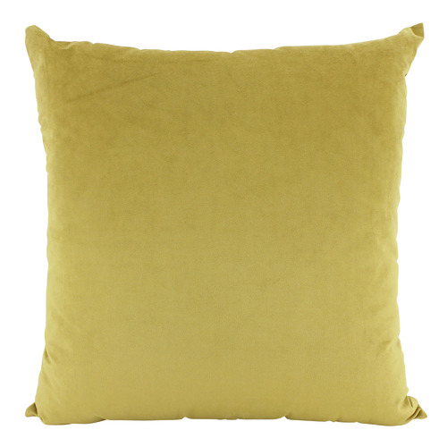 Aria Velvet Cushion
