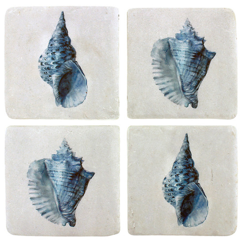Shell Coasters