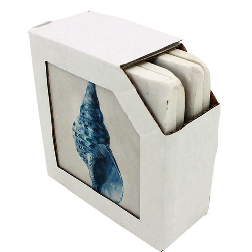 Shell Coasters