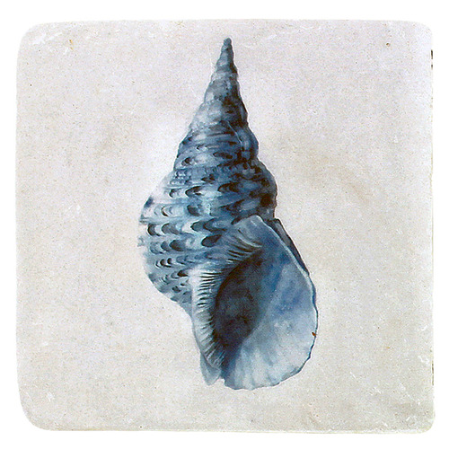 Shell Resin Coasters