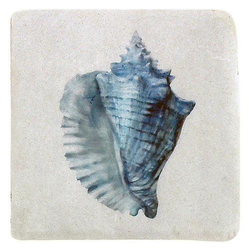 Shell Resin Coasters