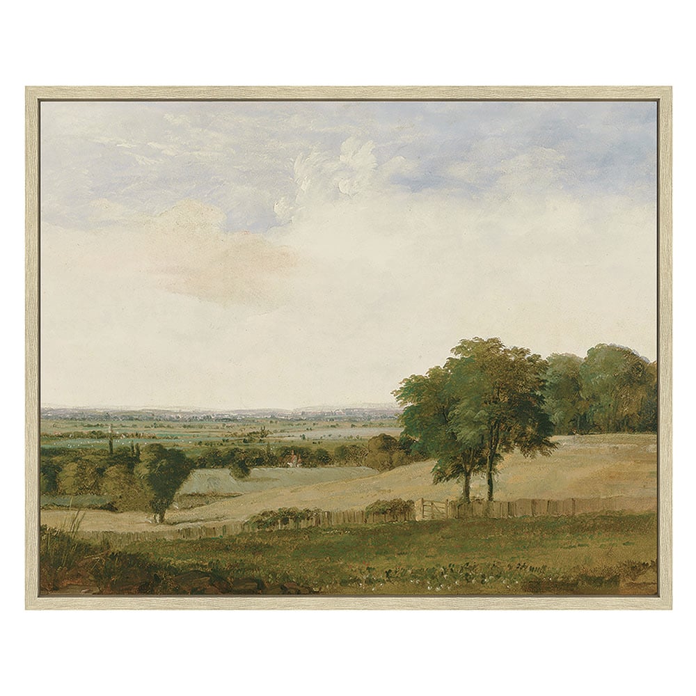 Graze Anatomy Framed Canvas Wall Art