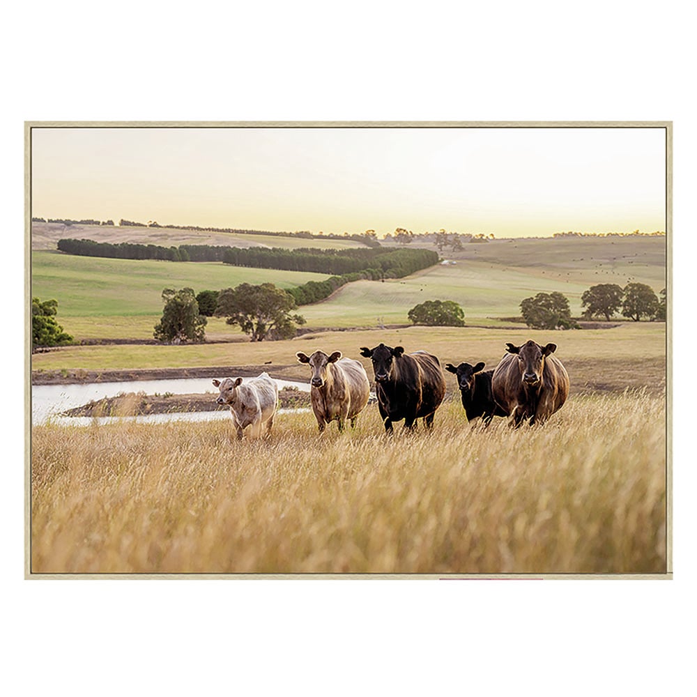 Mooving View Framed Canvas Wall Art