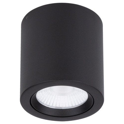 Varsam 20W LED Tiltable Downlight | Temple & Webster