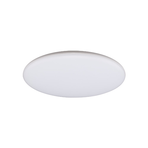 White Lucius Tri-Coloured Oyster Light