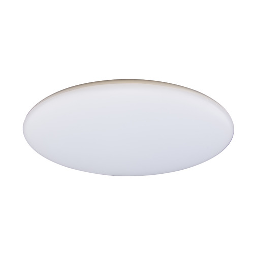 White Lucius Tri-Coloured Oyster Light