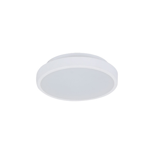 White Kiran Tri-Coloured Oyster Light
