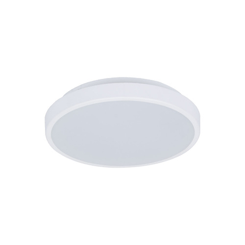 White Kiran Tri-Coloured Oyster Light