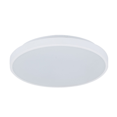 White Kiran Tri-Coloured Oyster Light