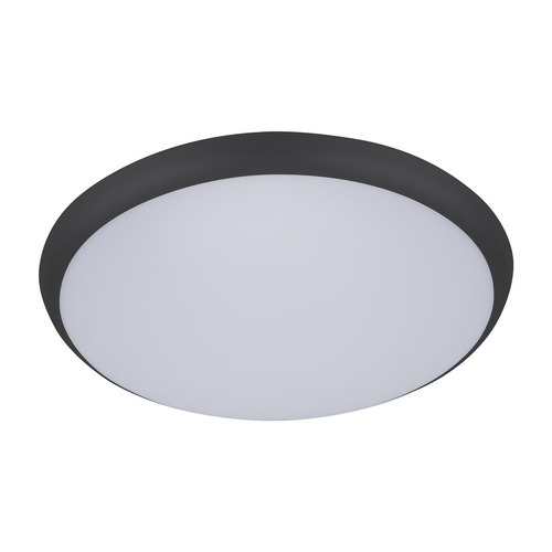 Chiara Tri-Coloured Oyster Light